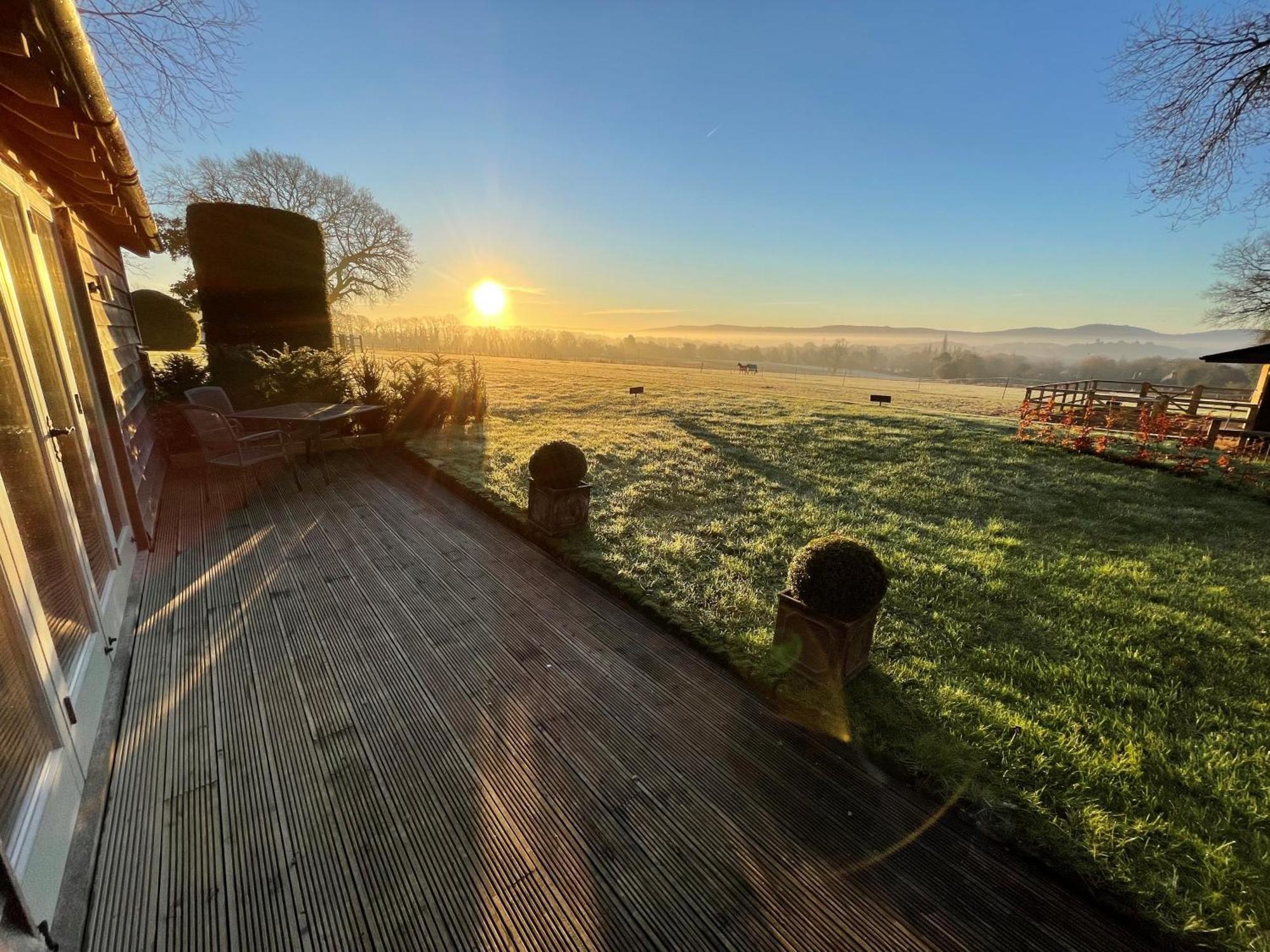 Stunning Cabin With Incredible Views Near Goodwood Appartement Rogate Buitenkant foto