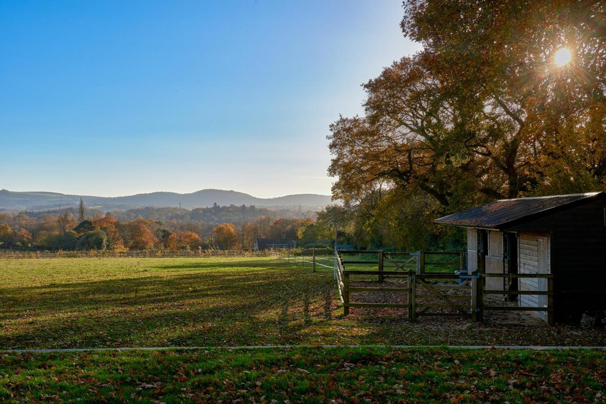 Stunning Cabin With Incredible Views Near Goodwood Appartement Rogate Buitenkant foto